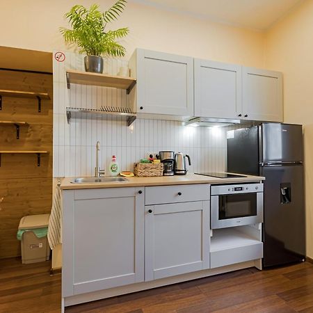 Cozy Studio And Standard Apartments In The Heart Of Oldtown Вильнюс Экстерьер фото